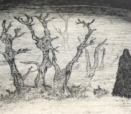 An etching of a mysterious dark figure standing among a group of contorted, leafless trees